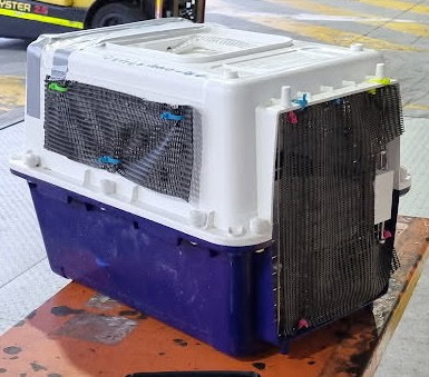 Approved bird transport crate