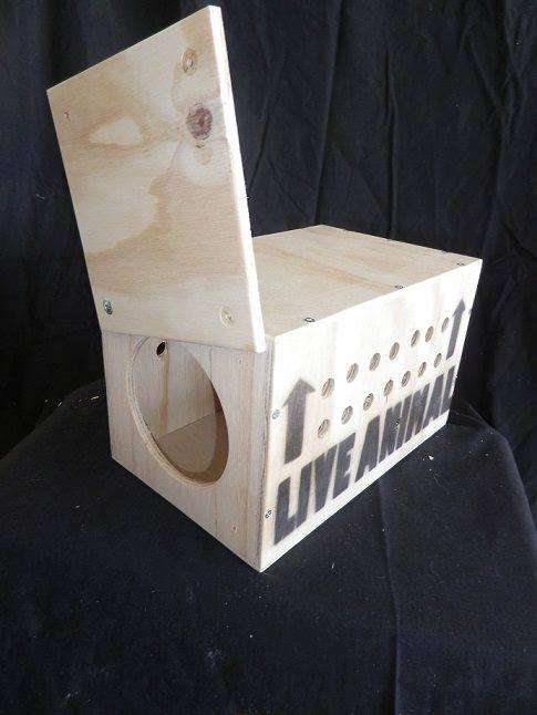 Approved bird transport crate